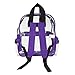 DALIX Small Clear Backpack Bag in Purple