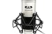 CAD GXL2400 USB Microphone for Recording Podcast and Gaming with Shock Mount