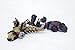 Kotobukiya ZOIDS Molga AA & Molga Carrier 1/72 Highend Master HMM Model Kit