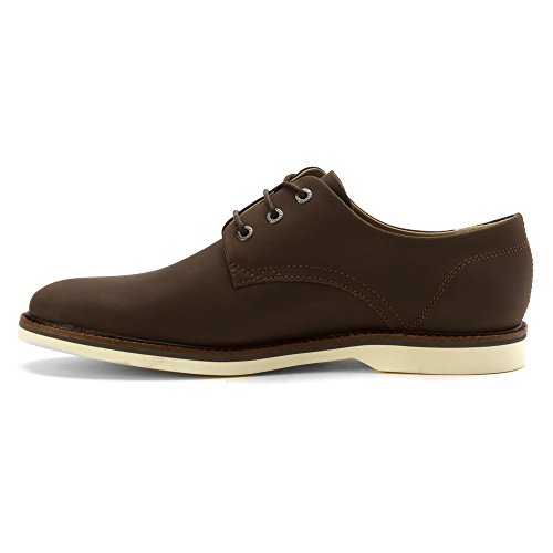 lacoste oxford shoes