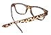 FancyG Classic Retro Fashion Style Clear Lenses Glasses Frame Eyewear - Leopard