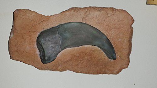 DINOSAUR! Raptor talon fossil, handmade sculpture.