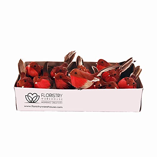 FloristryWarehouse Artificial Robins with Feathers 10cm/4 inches x Box of 12 Christmas Robin