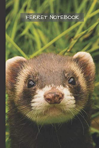 Ferret Notebook: Portable lined Ferret - Travel Journal to write in - 120 pages - 6"x9"