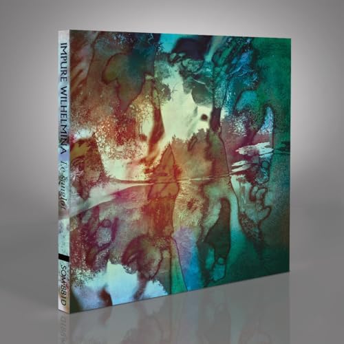 Amazon.com: Sophie Calle: Double Game: 9781900828284: Calle