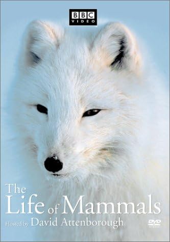 Amazon.com: The Life of Mammals, Vol. 1 [DVD] : BBC Video, David