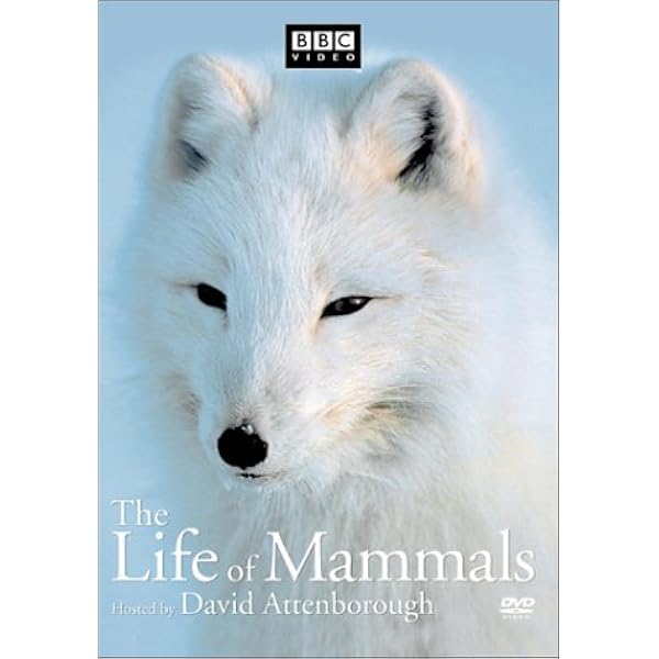 洋画・外国映画 DVD BBC THE LIFE OF MAMMALS 51SM3AMNKTL._UF1000,1000_QL80_.jpg
