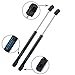 ARANA 2 Pcs Hood Lift Supports Struts Springs Shocks Dampers Compatible with 2005-2010 Chrysler 300, Compatible with 2005-2010 Challenger/Charger/Magnum 6303 PM1008 SG414051