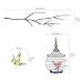 Decowall DW-1202 14 Birds on a Branch Kids Wall Stickers Wall Decals Peel and Stick Removable Wall Stickers for Kids Nursery Bedroom Living Room