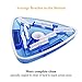 Sea-Thru Triangle Weighted Pool and Spa Vacuum Head with Swivel, Flexible Swimming Pool Vacuum Cleaner Head with Brush and EZ Clips, 11