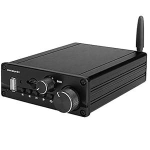 DollaTek Mini 2.1 kanaal Bluetooth 5.0 versterker HiFi stereo eindversterker Bass Class D versterker (zwart)