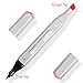 Dual Tip Skin Tones Markers Pen Set, Permanent Art Sketch Marker For Manga, Portrait, Flesh, Illustration Drawing - Pack of 12 Includes Colorless Blender