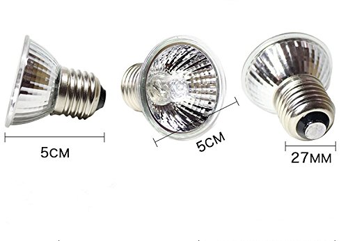 1 CTKcom+Halogen+spectrum+Reptilian+Aquarium