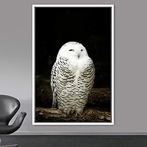 signwin Framed Canvas Wall Art Owl Birds Dramatic...