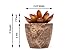 Set of 6 Artificial Succulent Plants – Fake Plants with Grey Ceramic Planters for Decoration
