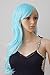 Long Anime Cosplay Synthetic Wig 10 Colors Full Wig with Bangs Layered Curly Wavy 23'' / 58cm+Stretchable Elastic Wig Net for Women Girls Lady Fashion(light blue)