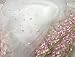 Lace Fabric White Organza Pink Floral Embroidery Wedding Bridal by The Yard