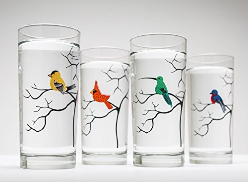 Bird lovers glassware set of 4 bird glasses, bird glassware, card…