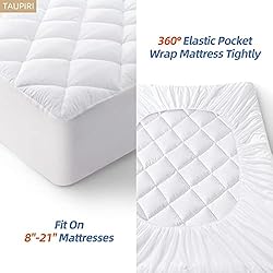 Taupiri Twin Quilted Mattress Pad Cover with Deep