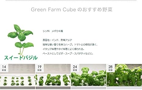 Amazon ユーイング 水耕栽培器 グリーンファーム Cube キューブ Uh Cb01g グリーン Kaden Ab 観葉植物 オンライン通販