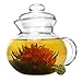 Primula Flowering Green Tea, 12-Variety Tea Flowers, 2.97 oz