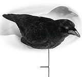 3 pack Crow