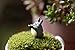 Micro Landscape Design 2 pcs Miniature Totoro Drinking Tea Figure Fairy Garden Terrarium Supplies
