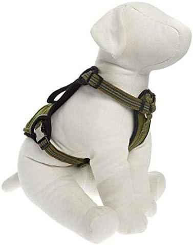 kong dog harness xl