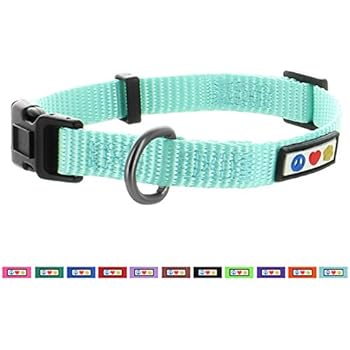 Pawtitas Dog Collar for Extra Small Dogs Training Puppy Collar with Solid - XS - Teal