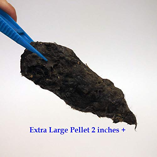 5 Jumbo+Pellets+Sorting+Sheet+Shipping