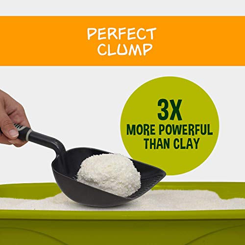 Garfield Flushable Tiny Grains Cat Litter Review Cat Litter Help