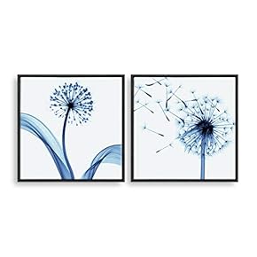 2 Piece Framed Home Artwork Transparent Flower for...