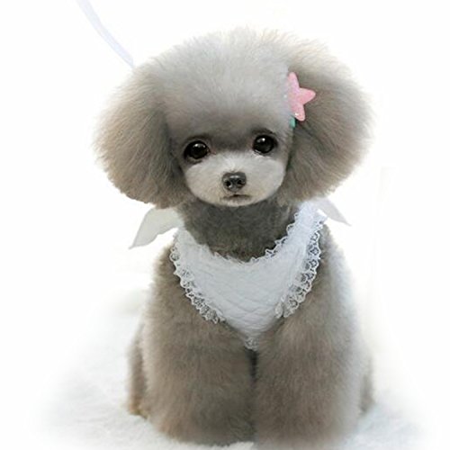 M2cbridge White Dog Puppy Harness Leash Collar Cat Vest Strap With Angel Wings (M)