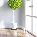 Chris.W 2Pack 10″ Metal Plant Caddy, Iron Potted Plant Stand with Wheels, Round Flower Pot Rack on Rollers Dolly Holder Indoor Outdoor Planter Trolley Casters Rolling Tray Coasterthumb 3