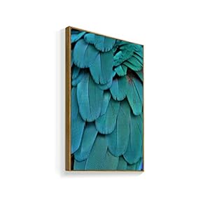 Framed Canvas Wall Art for Living Room, Bedroom Beautiful Features Canvas Prints for Home Decoration Ready to Hanging - 16x24 inches