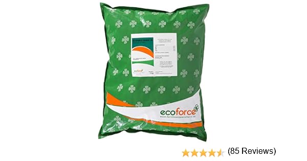 CULTIVERS Tierra de Diatomeas 5 kg Micronizada. 100% Natural y ...