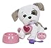 Cabbage Patch Kids Adoptimals - Plush Pet Dog (Bulldog)