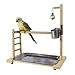 QBLEEV Birdcage Stands Parrot Play Gym Wood Conure Playground Bird Cage Stands Accessories Birdhouse Decor Table Top PlayStand with Ladder Stainless Steel Feeder Cup Tray for Small Medium Parakeets Cathumb 3