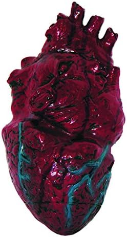 DOMAGRON Simulated Body Parts Heart (1/Pkg) Pkg/1