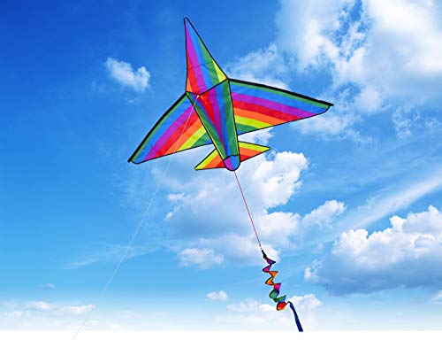 Zhuoyue Large Airplane Kite for Kids and Adults, Easy to Fly 3D Nylon Kites for Boys Girls, Single Line Beach Kite with Long Tail and Flying Line