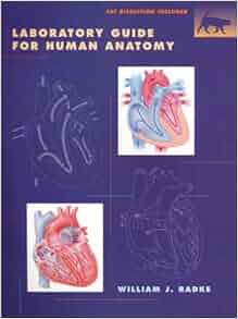 Laboratory Guide For Human Anatomy 9780471414131