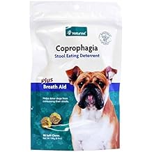 best poop eating deterrent