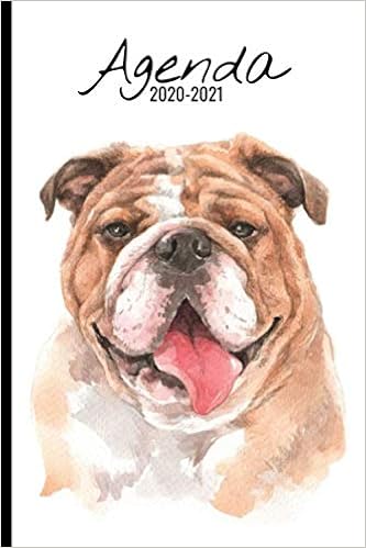Agenda Scolaire 21 Chien Bouledogue Anglais Agenda Semainier Format A5 Pour Les Etudiants Professionnels Et Particuliers Calendrier A Septembre 21 French Edition Jaynda A Amazon Com Books