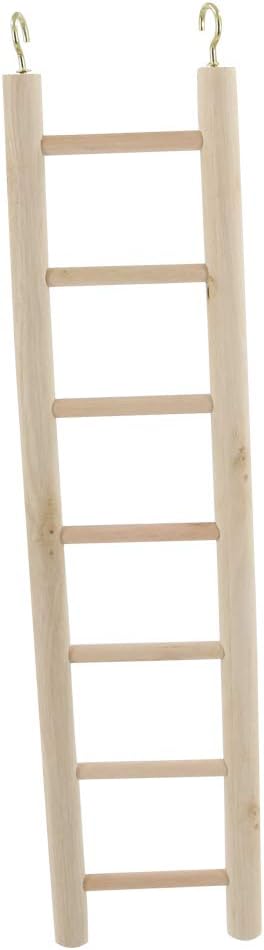 The 9 Best Penn Plax 7Step Wooden Bird Ladder