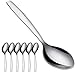 Serving Spoons Buffet, Stainless Steel Serving Salad Spoon, Elegant Life Large Buffet Party Banquet Flatware Kitchen Basics Tablespoons Set of 6, 9.8 Inch