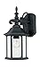 2961-BK Outdoor Wall Lantern, Black Cast Aluminum primary