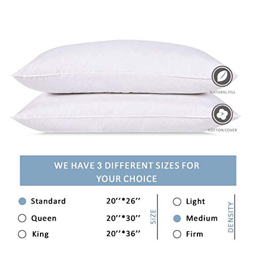 puredown Natural Goose Down Pillows 100 Cotton Pillow Cover Set of 2