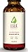 ECOCERT & USDA Certified Organic Premium Rosehip Seed Oil for Face, Skin, Hair & Nails - Moisturizes, Nourishes & Protects - Provides Anti-Aging & Acne-Fighting Beneftis - All Natural - 1 Oz. Bottle