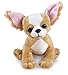 Webkinz Chihuahua