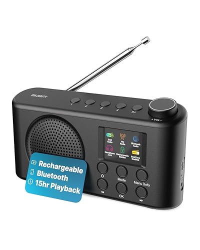 MAJORITY Orwell Pro Portable Dab/Dab+ Radio with Bluetooth, FM, 40 Presets, 15H Battery Life, USB-C Rechargeable Battery, Sleep Timer, Equalizer, Portable Dab Radio